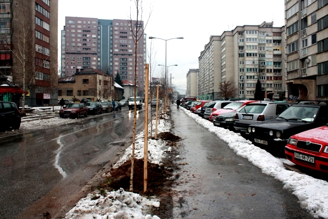 paromlinska ulica_breze