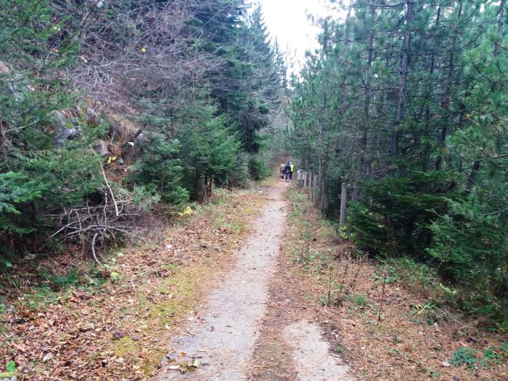 trebevic pjesacka staza nov 2018 foto grad sarajevo