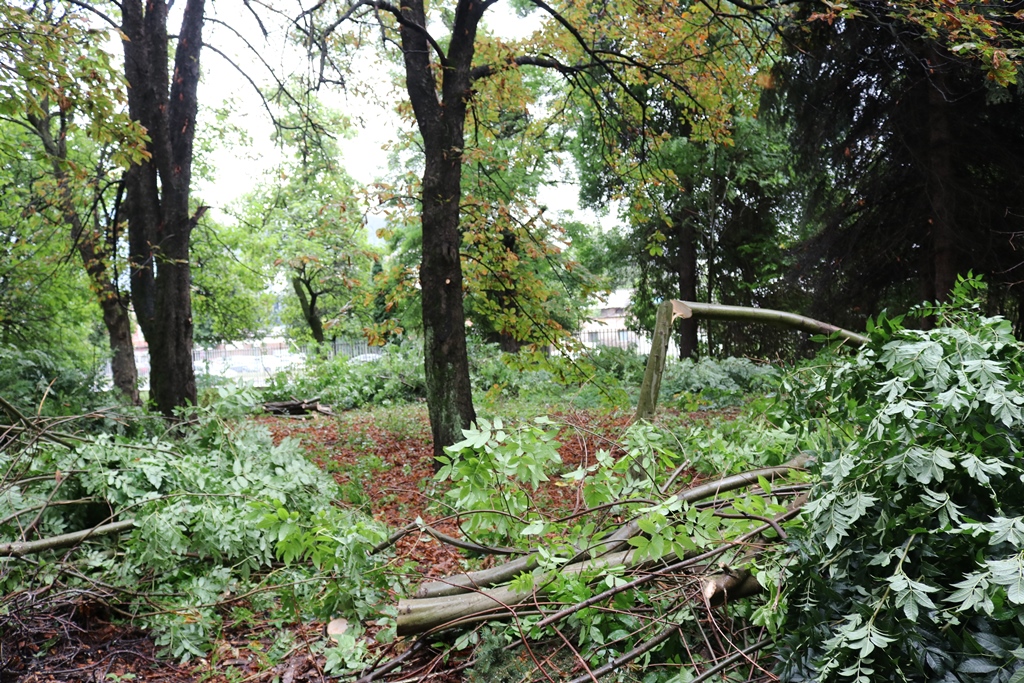 kampus sarajevo park priroda foto vlada ks