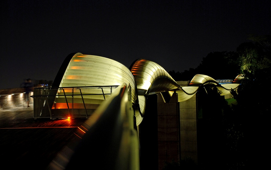 Henderson-Waves-bridge