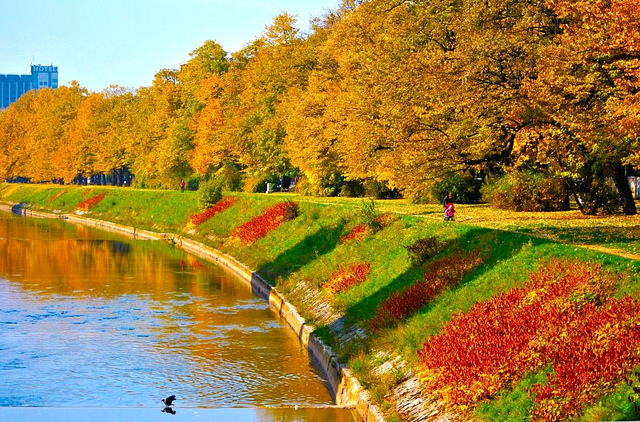 vilsonovo setaliste_n.grabovica